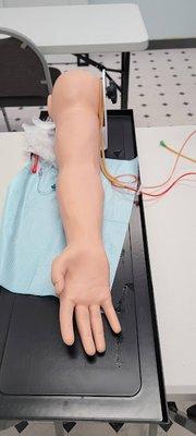 Health Career Training Center of Long Island