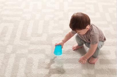 Carpet Master