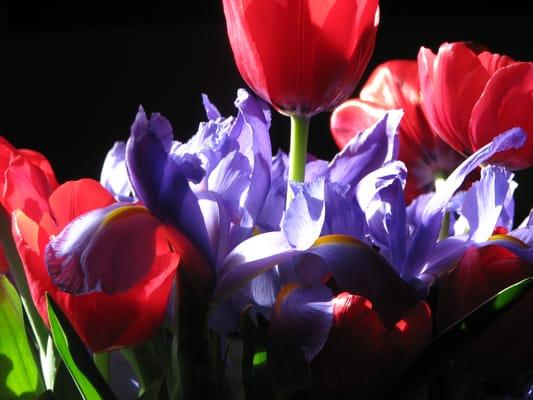 photo of Principal O.