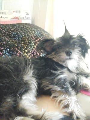 Photo of Marsy D.