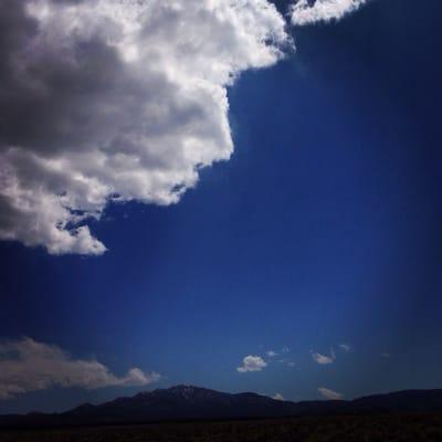 photo of Michelle A.