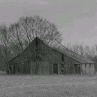 Photo of Kathy H.