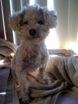 photo of Stephanie S.