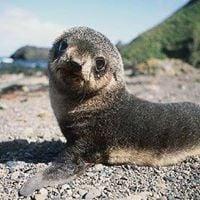 photo of Jennifer D.