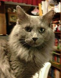 Photo of Rusty Z.