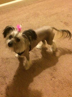 photo of Charlene M.