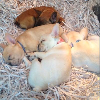 Photo of Danielle W.