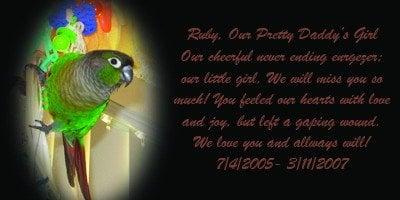 photo of Genevieve M.