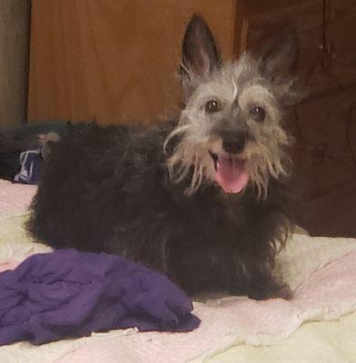 photo of Princess D.