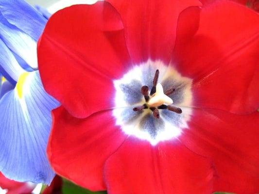 photo of Noise424 N.