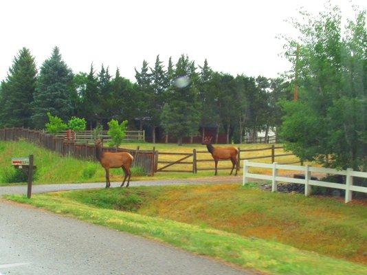 photo of Stephanie B.