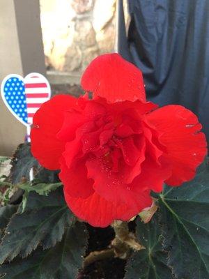 photo of Caroline K.