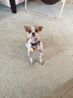 photo of Danielle K.