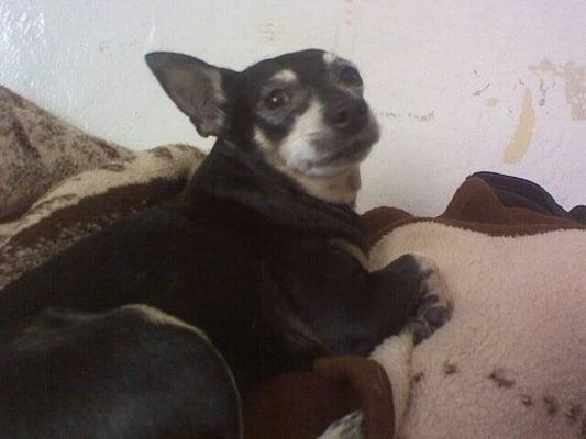 Photo of Noemi V.