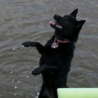 photo of Mary Lou B.