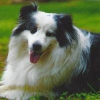 Photo of Jackie J.