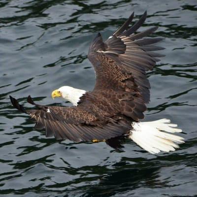 Photo of Tom C.