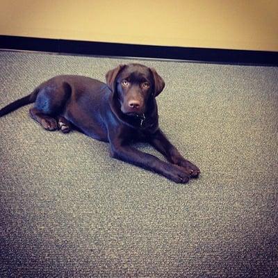 photo of Catherine K.