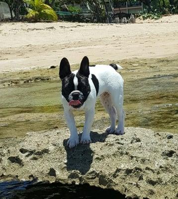 photo of Nicholas P.