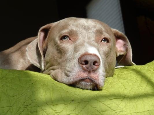 Photo of J J.