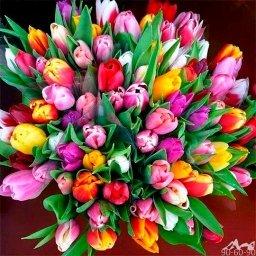 Photo of Christina L.