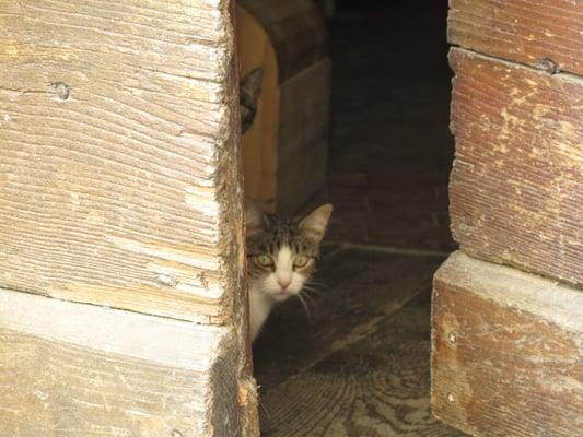 photo of Qype User (elliot…)