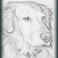 Photo of Angie J.