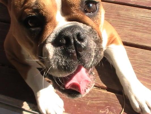 photo of Christine J.