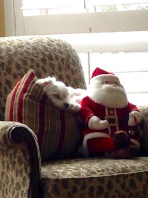 photo of Margaret Y.