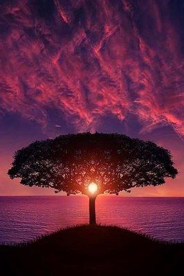 photo of Alejandra S.