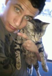 Photo of Nicholas N.