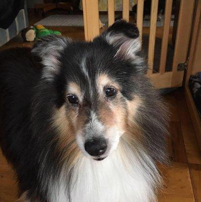 Photo of Marguerite A.