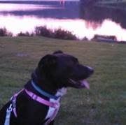 photo of Christina P.