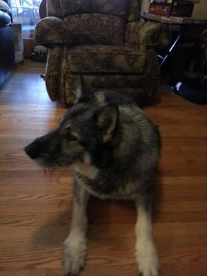 photo of Dominick J.