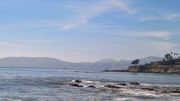 photo of Michelle F.