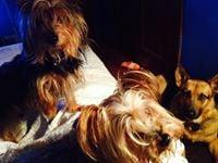 photo of Michelle H.