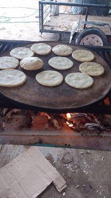 photo of Nicandra M.