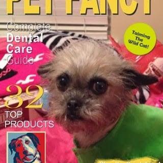 Photo of Fabulous M.
