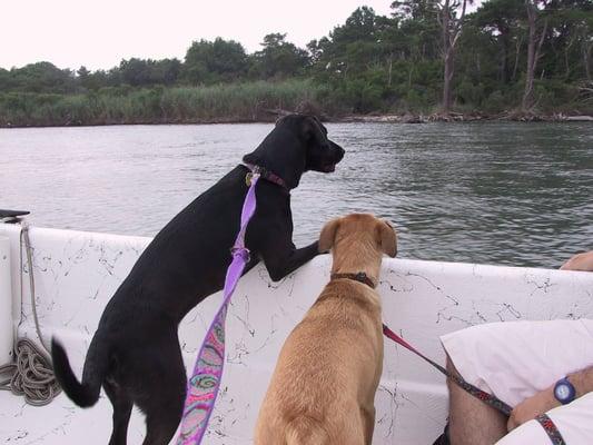 Photo of Tough Crowd T.