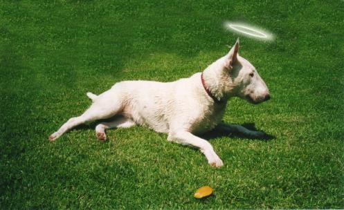 Photo of Rosalyn C.