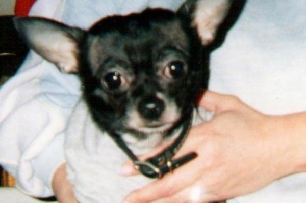 Photo of Marsha A.