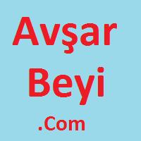 Photo of Yigit A.