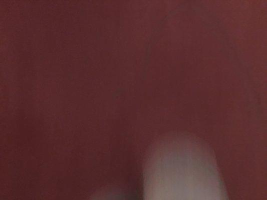 Photo of Parisa E.