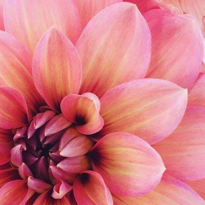 photo of Shoshana S.