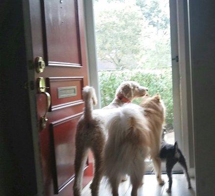 Photo of Christen J.