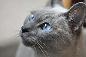 Photo of Judi S.