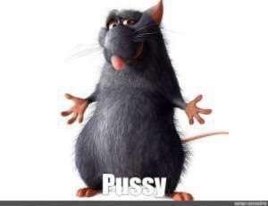 Photo of Brayden S.