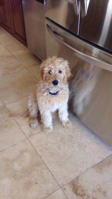 photo of Jennifer D.