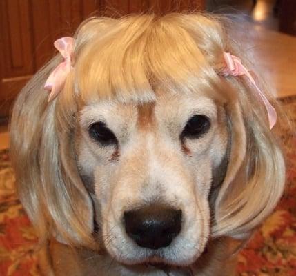 Photo of Harlene M.