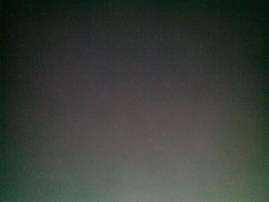 Photo of Tina B.